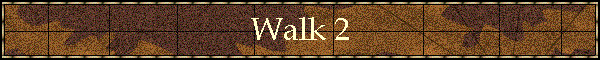 Walk 2