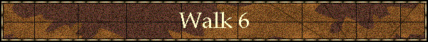 Walk 6