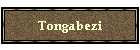 Tongabezi