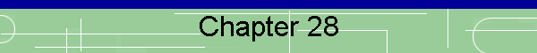 Chapter 28