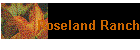 Roseland Ranch
